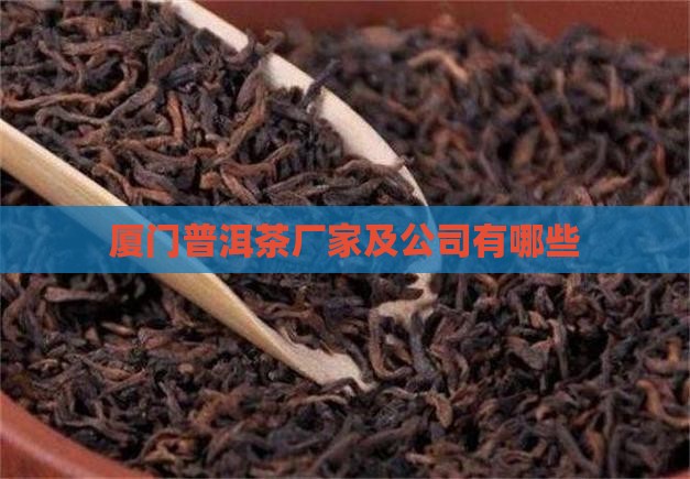 厦门普洱茶有哪些厂家生产