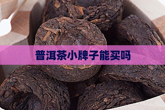 普洱茶小牌子能买吗