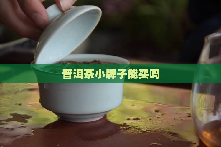 普洱茶小牌子能买吗