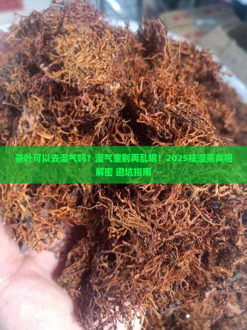 茶叶可以去湿气吗 茶叶可以去湿气吗