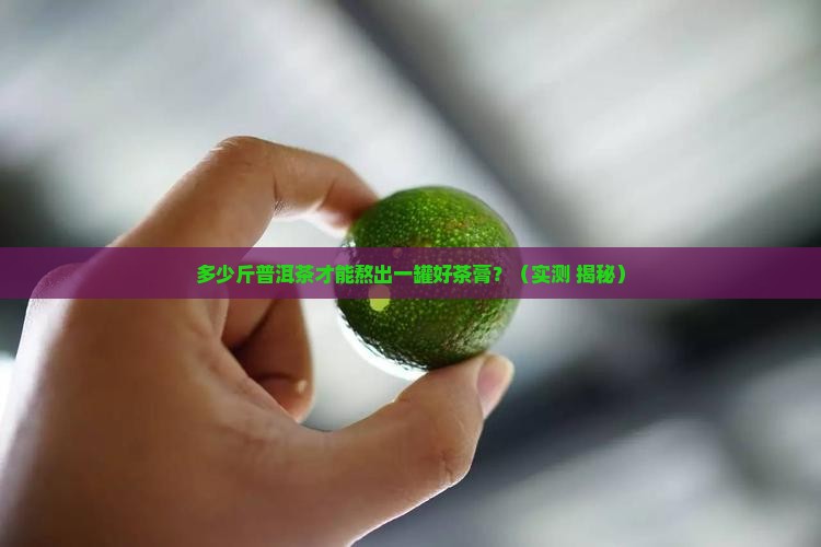 多少斤普洱茶熬制茶膏