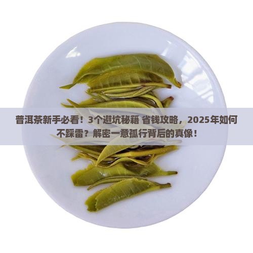 一意孤行普洱茶 一意孤行普洱茶