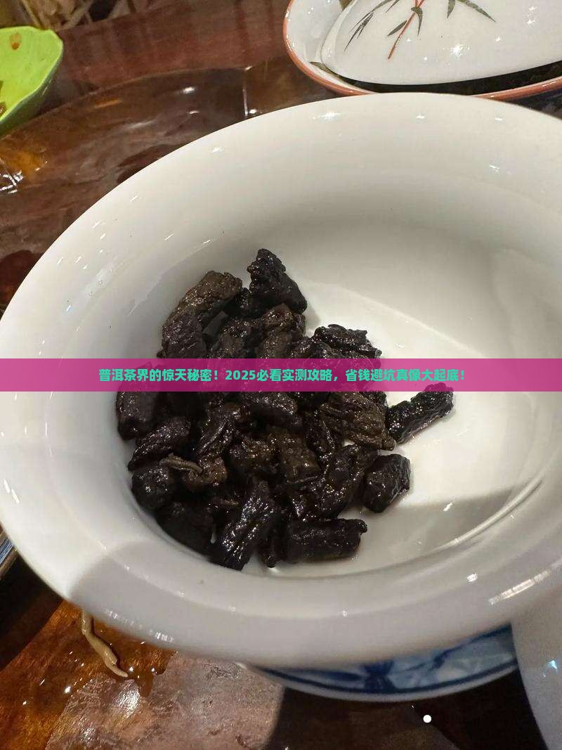 普洱茶知识大全冷知识