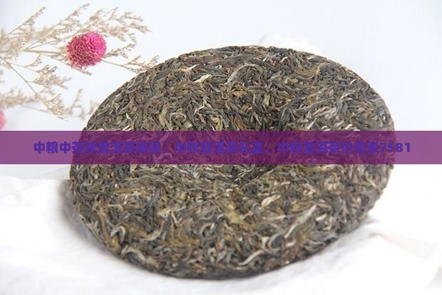 中粮中茶牌普洱茶袋装 中粮中茶牌普洱茶袋装