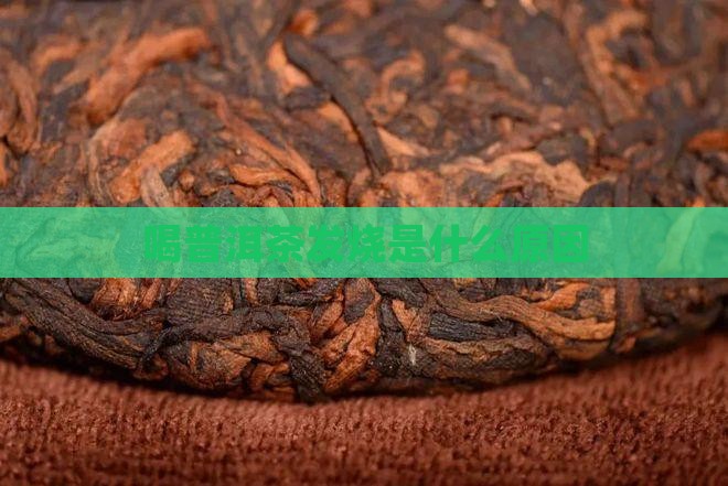 喝普洱茶发烧是什么原因