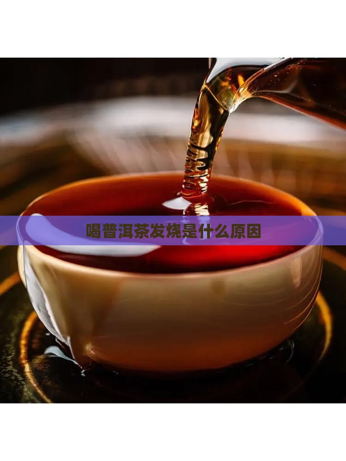 喝普洱茶发烧是什么原因