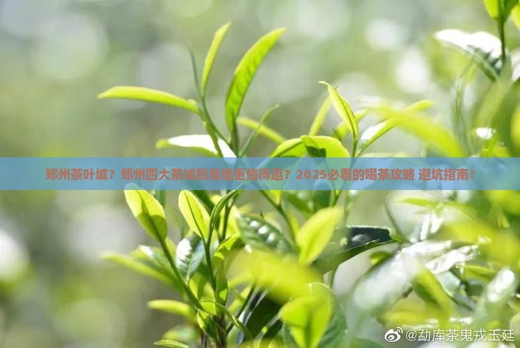 郑州茶叶城郑州四大茶城