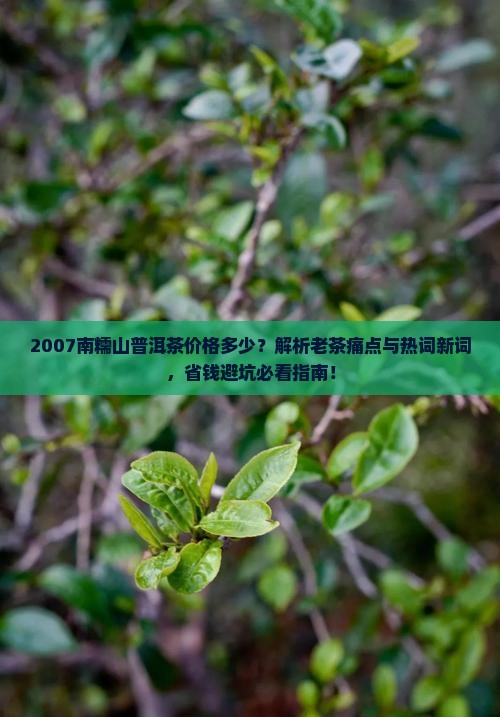 2007南糯山普洱茶价格