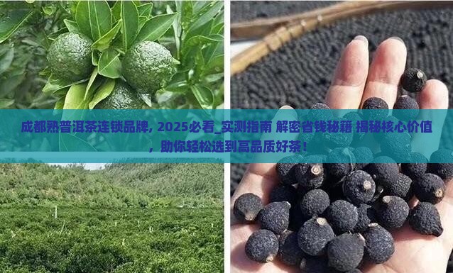 成都熟普洱茶连锁品牌