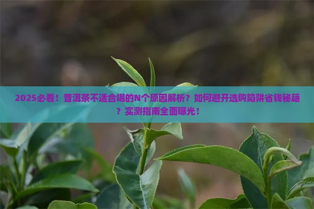 不适合喝的普洱茶