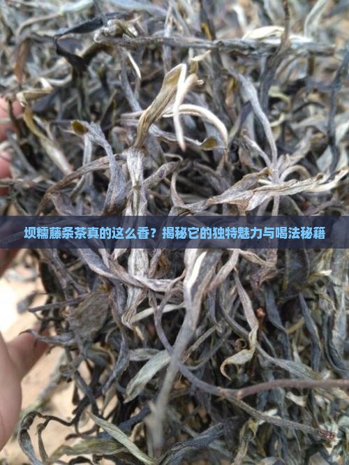 坝糯藤条茶特点