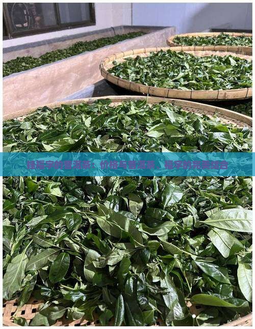 挂福字的普洱茶