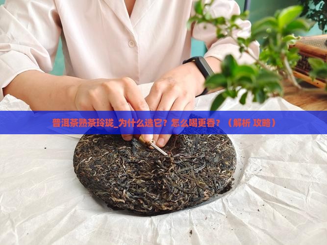 普洱茶熟茶玲珑 普洱茶熟茶玲珑