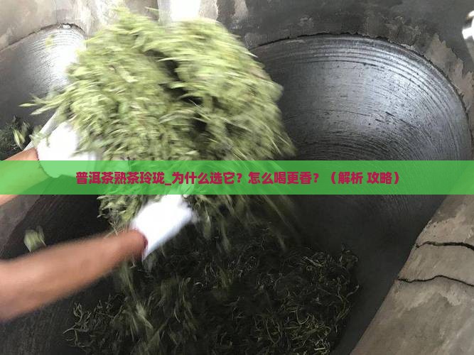 普洱茶熟茶玲珑 普洱茶熟茶玲珑