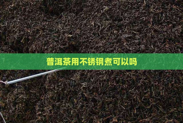 普洱茶用不锈钢煮可以吗 普洱茶用不锈钢煮可以吗