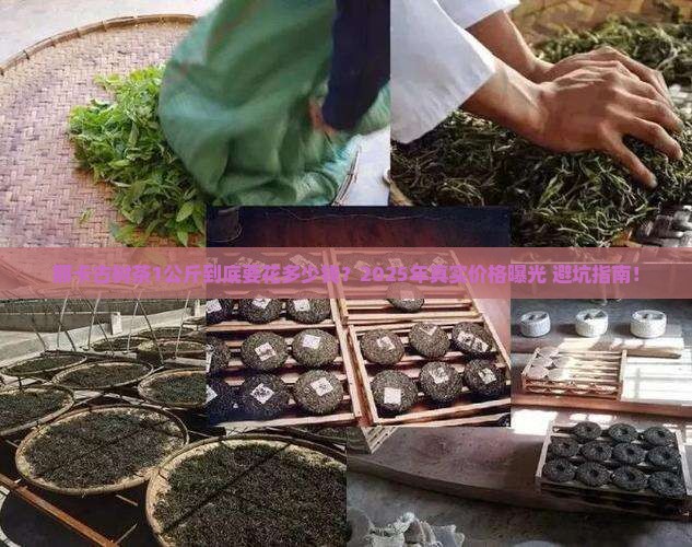 那卡古树茶的价格多少钱1公斤