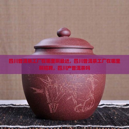 四川普洱茶工厂在哪里啊