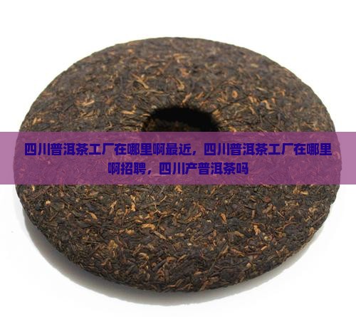 四川普洱茶工厂在哪里啊