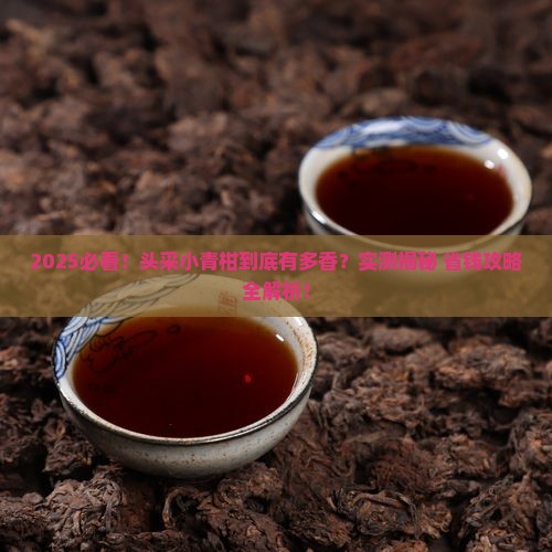头采小青柑是什么茶