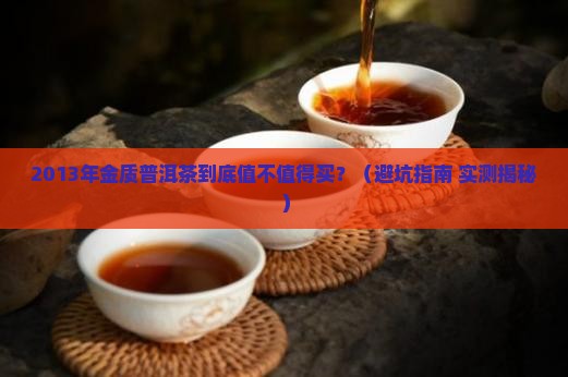 2013年金质普洱茶