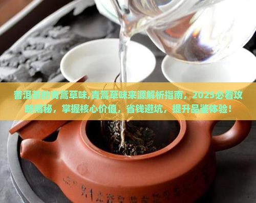 普洱茶的青蒿草味