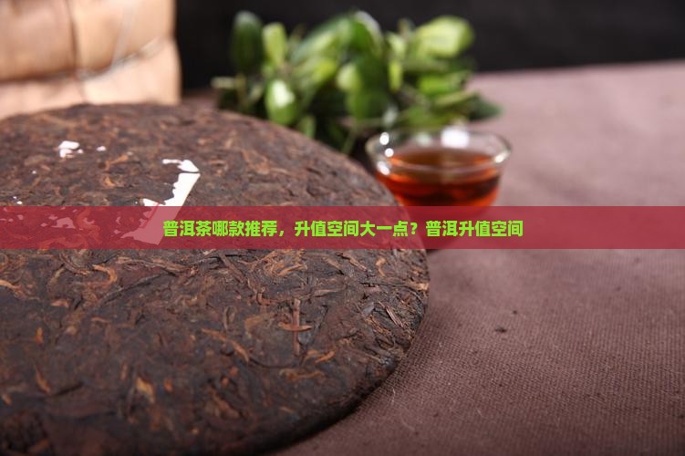 普洱茶哪款升值空间大一点