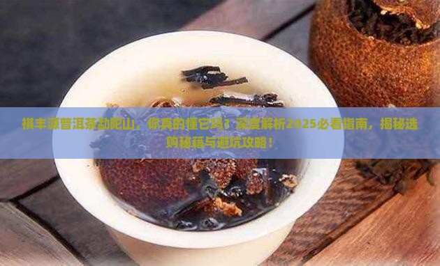 祺丰源普洱茶勐陀山
