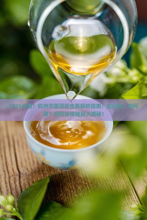 杭州市普洱茶生茶