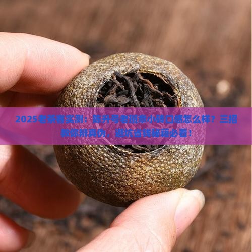 陈升号老班章小砖口感