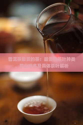 普洱茶最贵的茶