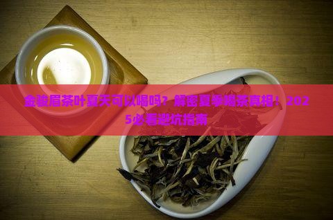 金骏眉茶叶夏天可以喝吗