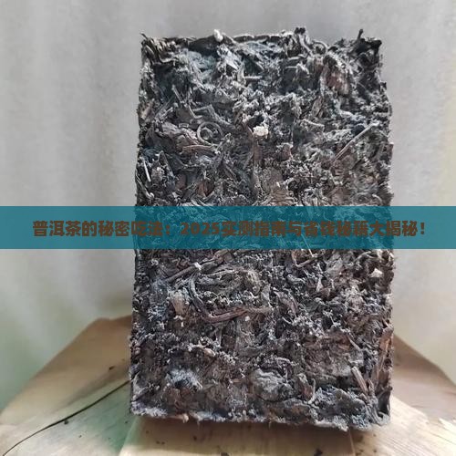 普洱茶从何时开始的吃法