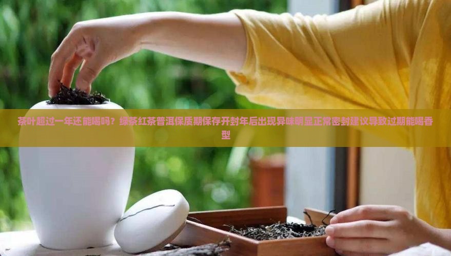 茶叶超过一年还能喝吗
