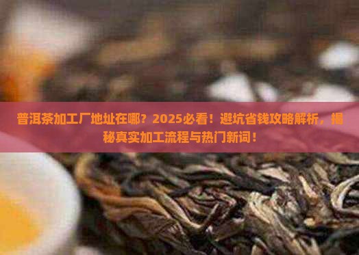 普洱茶加工厂地址