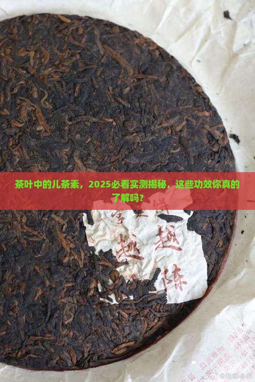 茶叶中的儿茶素