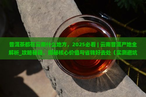 普洱茶都在云南什么地方