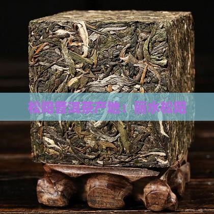 丽水松阳产普洱茶