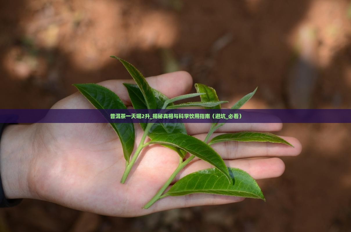 普洱茶一天喝2升