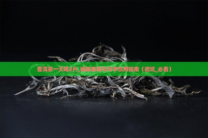 普洱茶一天喝2升