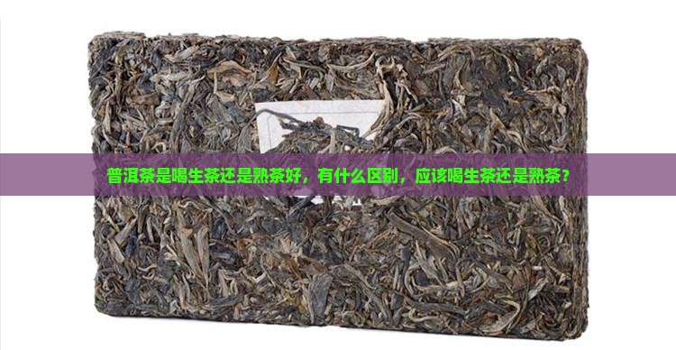 普洱茶是喝生茶还是熟茶好