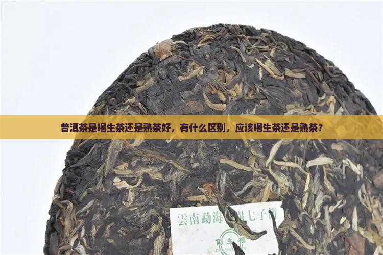 普洱茶是喝生茶还是熟茶好