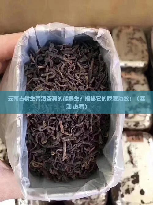 云南古树生普洱茶的功效