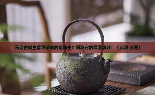 云南古树生普洱茶的功效