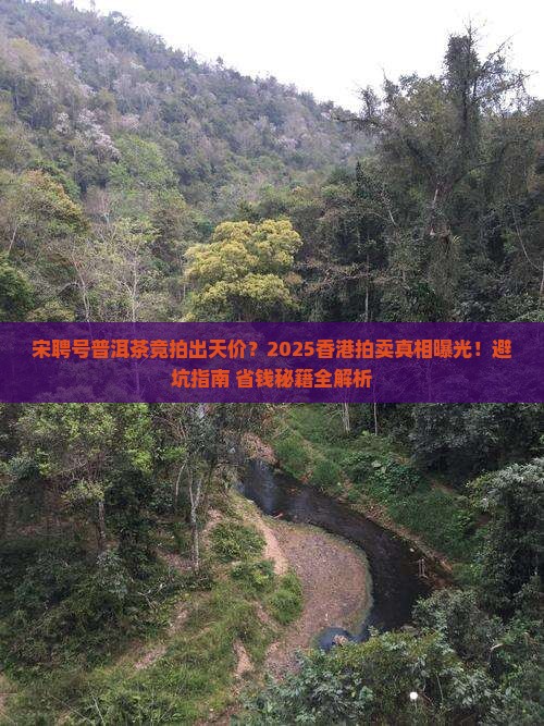 宋聘号普洱茶香港拍卖价