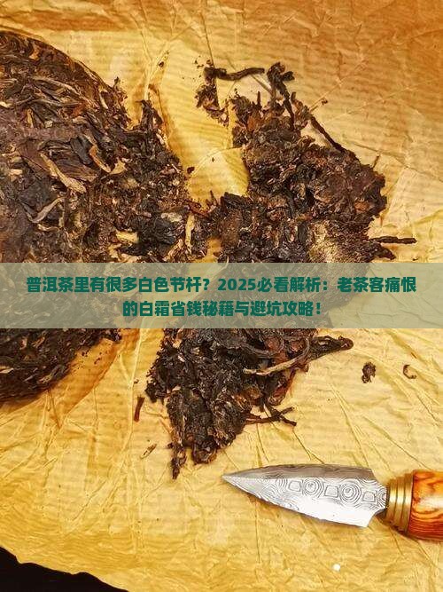 普洱茶里有很多白色节杆