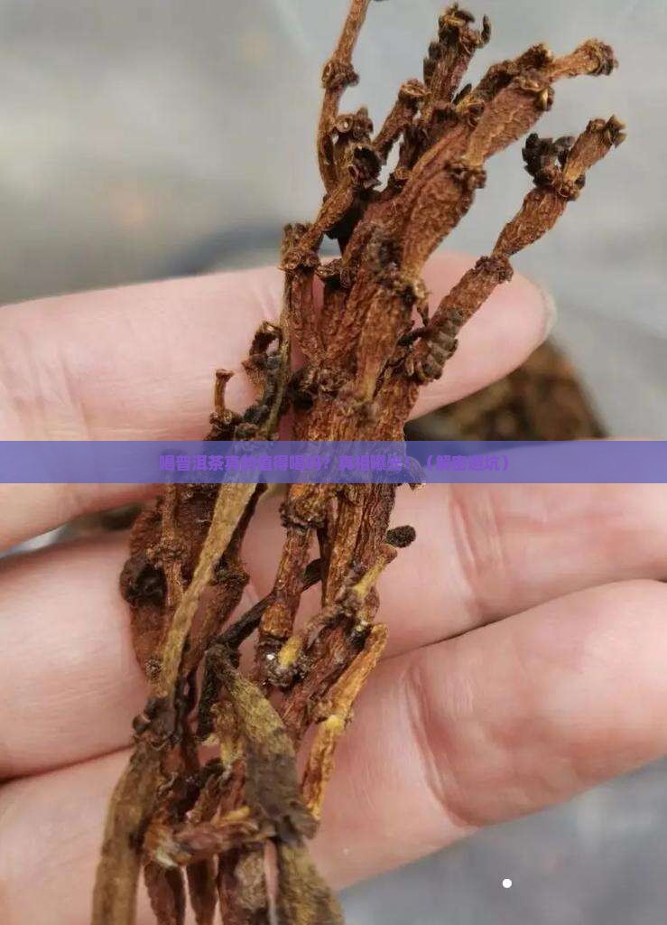 喝普洱茶的好处与坏处