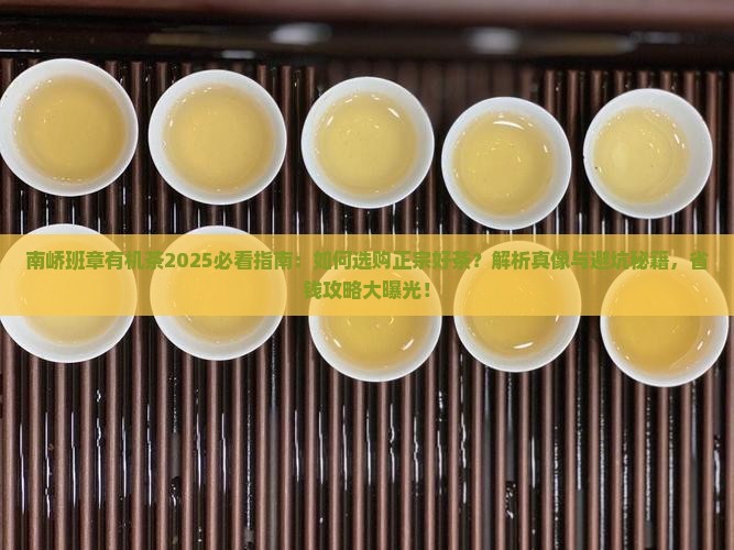 南峤班章有机茶