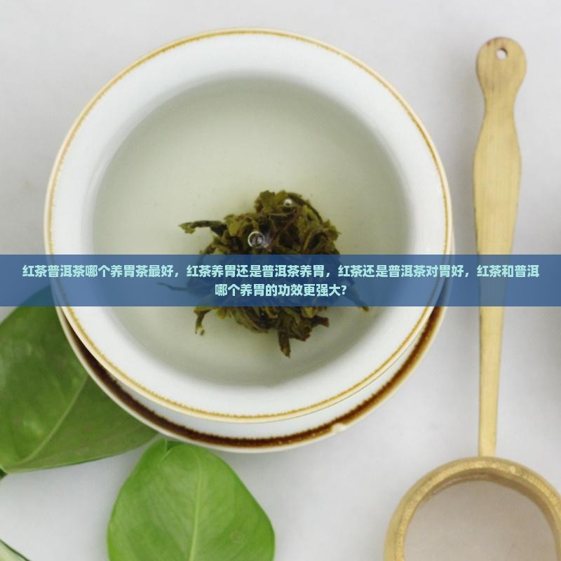红茶普洱茶哪个养胃茶