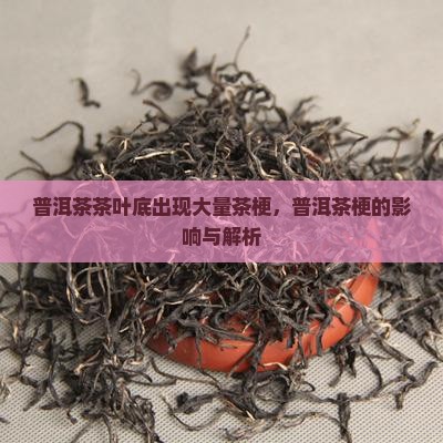 熟普洱茶叶底有大量老茶梗