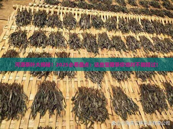 河源的茶叶有哪些茶叶